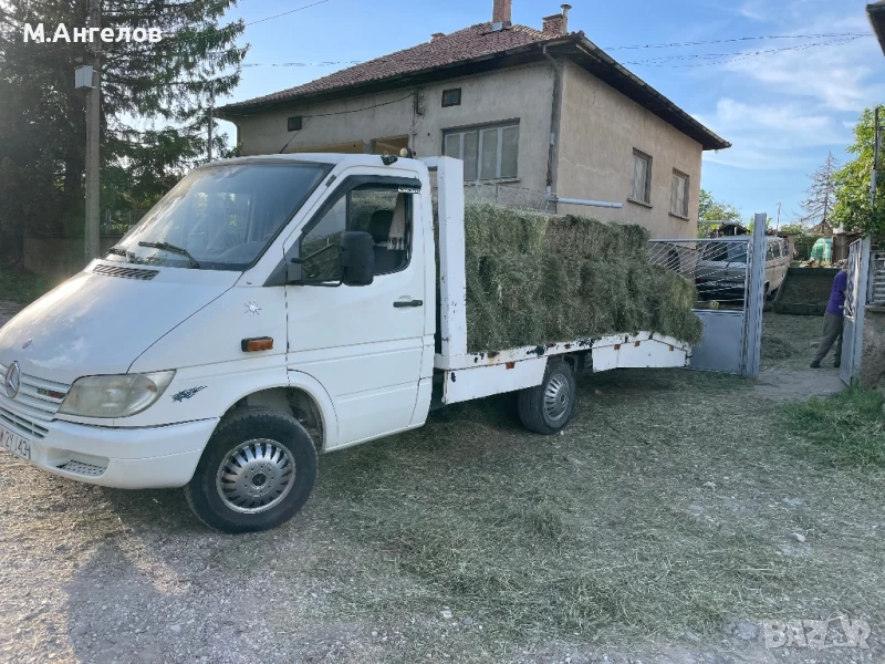 Малки бали, снимка 1