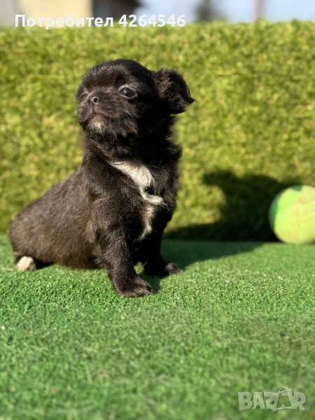 Уникално момче, снимка 1