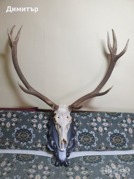 Трофей от голям благороден елен с поставка от дъб–ръчна дърворезба., снимка 1