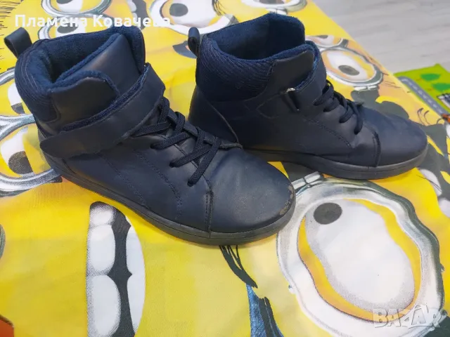 боти 36 номер