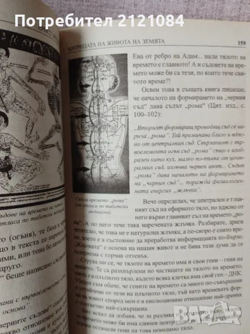 Матрицата на живота на земята / Ернст Мулдашев , снимка 5 - Езотерика - 47503621