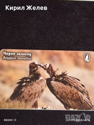 Три фонокарти МОБИКА тема ЖИВОТНИ ЛЕШОЯД, КОСТЕНУРКА, ПРИЛЕП 26915, снимка 7 - Колекции - 51678714