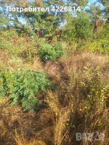 всякакви ремонти , снимка 11 - Ремонти на къщи - 48491307