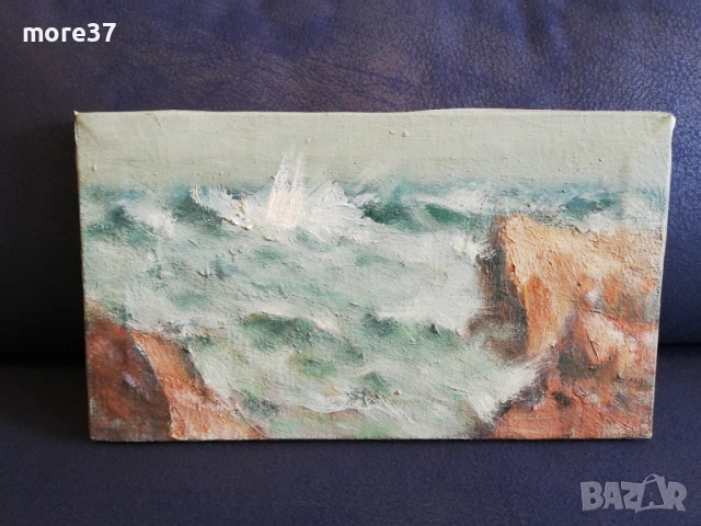 2 Картини-Море и Кукери, снимка 12 - Картини - 53942653