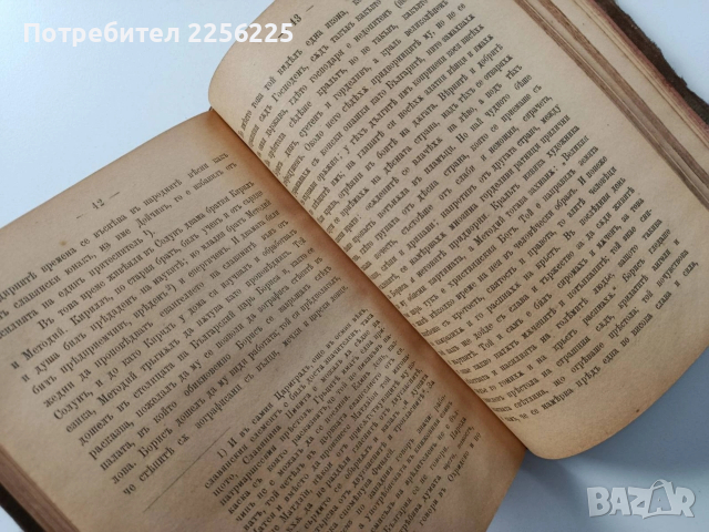 Пътуване по славянските страни на Европейска Турция / Жената в къщи и в обществото 1891г, снимка 11 - Художествена литература - 54189744