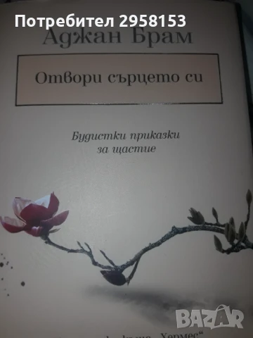 Книга на Аджам Брам, снимка 2 - Специализирана литература - 51120687