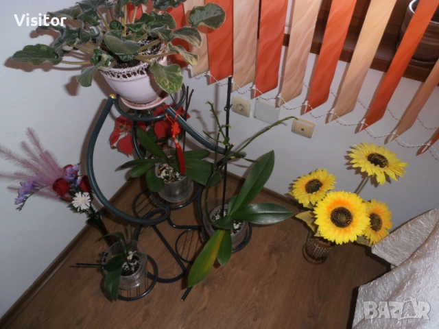 Olympus VR-330  - 14 МРх, снимка 10 - Фотоапарати - 54322140