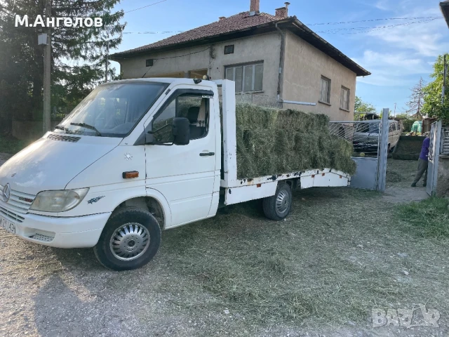 Малки бали, снимка 1