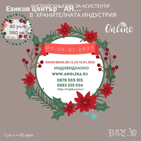 Онлайн обучение по английски език за възрастни по професии, снимка 9 - Уроци по чужди езици - 22778385