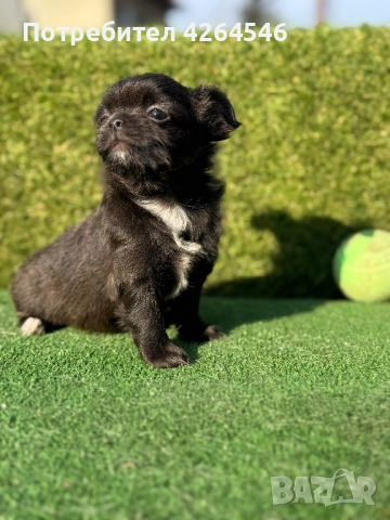 Уникално момче, снимка 1