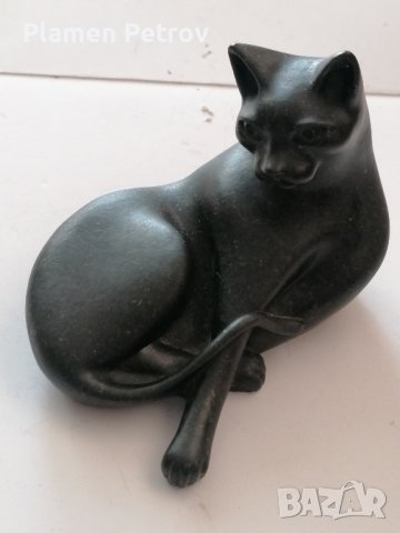 черна котка 