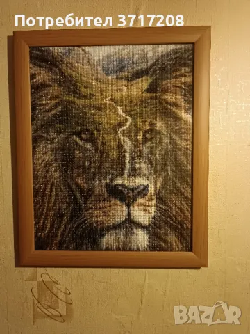 диамантен гоблен, снимка 4 - Гоблени - 47393208