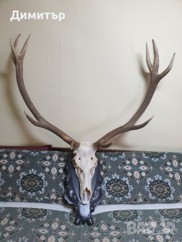 Трофей от голям благороден елен с поставка от дъб–ръчна дърворезба.