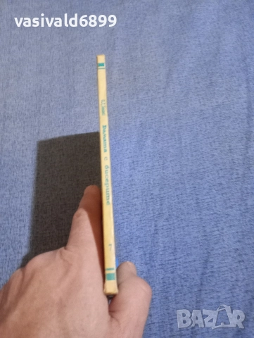 Байаш - Дамата с бисерите , снимка 2 - Художествена литература - 52761769