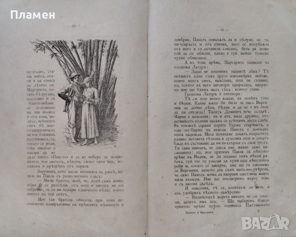 Павелъ и Виргиния Бернарденъ де Сенъ-Пиеръ, снимка 7 - Антикварни и старинни предмети - 42792837