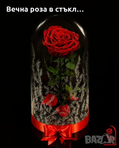 Романтичен подарък за приятелка / ЕСТЕСТВЕНА вечна роза в стъкленица / Подарък за Рожден Ден на Жена, снимка 9 - Градински цветя и растения - 24090675