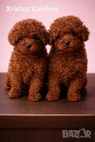 Тийкъп Момче 