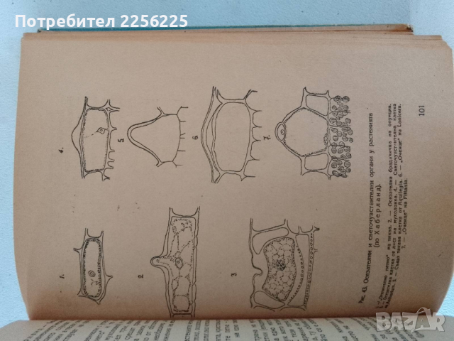 Основите на живота , снимка 2 - Други - 44694708