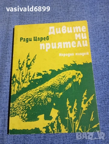 Ради Царев - Дивите ми приятели 