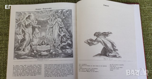 Илюстрирана Библия от Юлиус Шнор фон Каролсфелд, снимка 8 - Други - 37474356