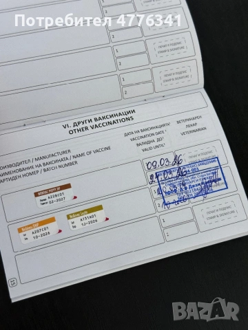 Чистокрьвен мъжки голдьн ретрийвьр / golden retriever, снимка 6 - Голдън ретривър - 53961290