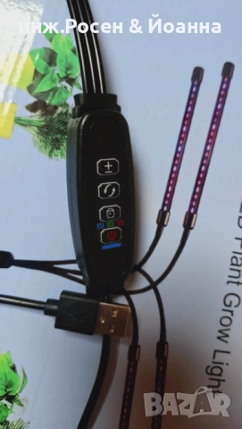 Лампа за цветя, снимка 3 - Стайни растения - 53045870