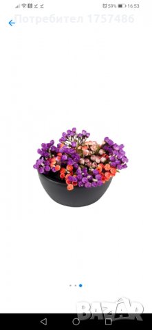 Самополивна саксия Елеганц CLEAR, снимка 1