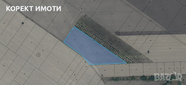 ПРОДАВА земеделска земя в землището на село ЗЛАТНА НИВА