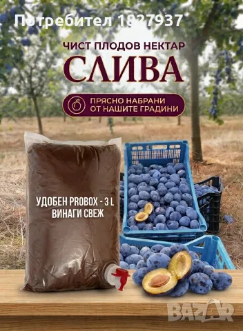 Нектар от сини сливи