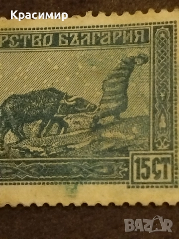 Пощенска марка 1917 г.Снимки ., снимка 11 - Филателия - 52472223