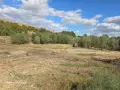 Услуги с горски мулчер и багири , снимка 8