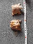Фигурки от мраморен оникс- жаба и костенурка, снимка 1