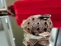 CARTIER Panthere de Cartier Big Rose Gold Diamonds Пръстен, снимка 6