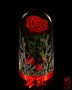 Романтичен подарък за приятелка / ЕСТЕСТВЕНА вечна роза в стъкленица / Подарък за Рожден Ден на Жена, снимка 9