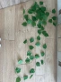 Декорация изкуствена зеленина и лампички , снимка 10