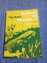 Ради Царев - Дивите ми приятели , снимка 1