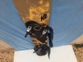 сноуборд  K2  с автомати  165Wсм, снимка 4