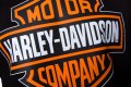 Нов детски суичър с трансферен печат Harley Davidson, мотори, Харли Дейвидсън, снимка 3