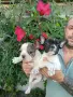 Три женски и две мъжки с първа ваксина след няколко дни предстой втора ваксина , снимка 4
