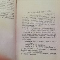 Стар Руски Български словар, снимка 8 - Антикварни и старинни предмети - 37475692