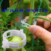 50 броя щипка - клипс за подържане на домати и растения - КОД 3691, снимка 2 - Други - 36674902