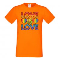 Мъжка тениска Love Is Love 2 multicolor Прайд,Празник.Повод,Изненада, снимка 9 - Тениски - 37103173