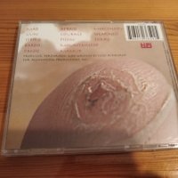 TODD RUNDGREN - ARENA 7лв матричен диск, снимка 2 - CD дискове - 30633140