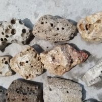 Камъни за декорация на Аквариума , снимка 9 - Аквариуми - 32027317