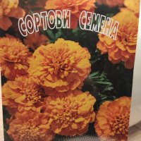 Семена ТАГЕТЕС различни сортове, снимка 5 - Сортови семена и луковици - 44155823