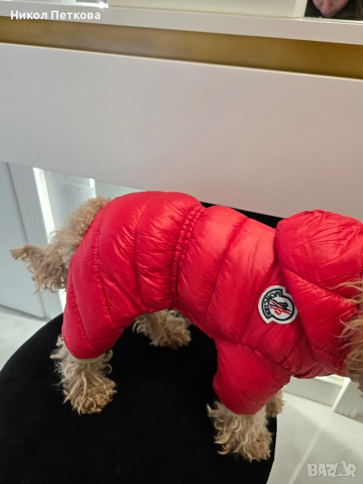 Зимен гащеризон Moncler , снимка 1