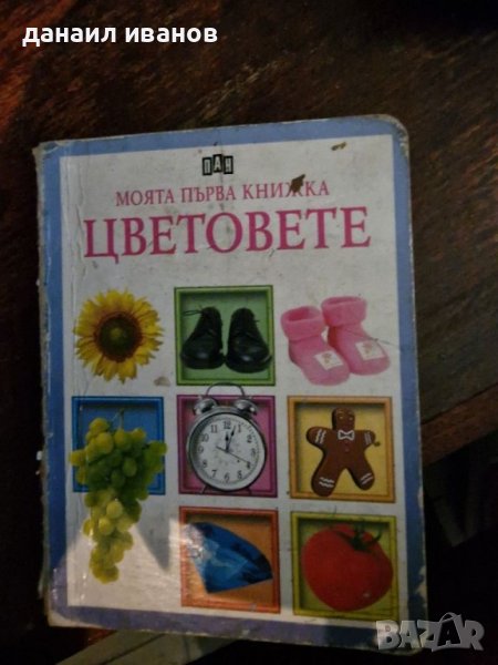 Цветовете , снимка 1