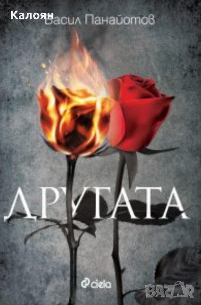 Васил Панайотов - Другата (2018), снимка 1
