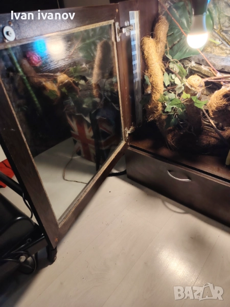 Терариум , снимка 1