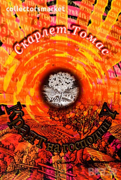 Краят на господин Y, снимка 1